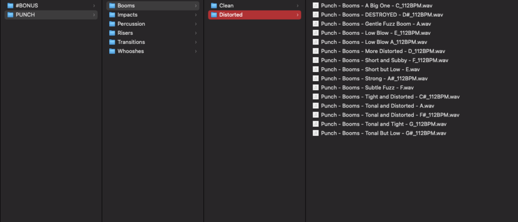 Punch Files Structure